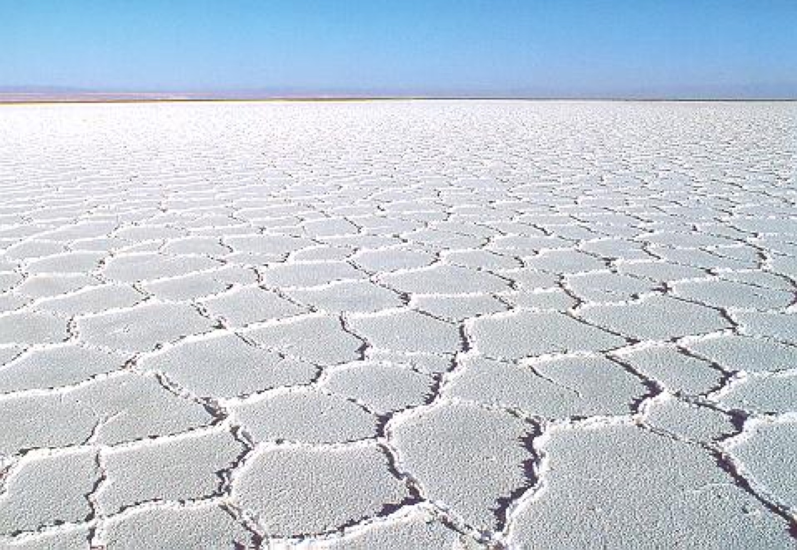 Costra salina del Salar Grande en Tarapacá
